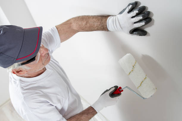 Professional Dry wall and painting in Springfield, CO