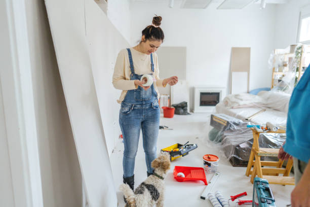 Best Ceiling Drywall Installation  in Springfield, CO